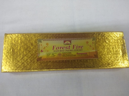 Forest Fire