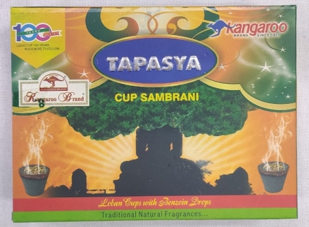 Tapasya