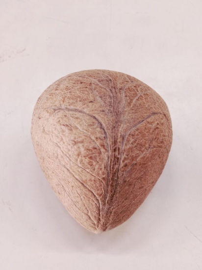 Kopparai
