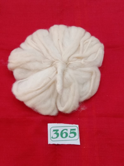 365 Thiri